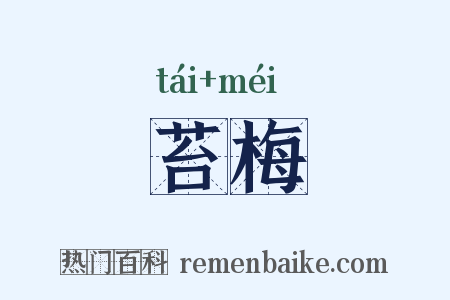 苔梅是什么意思的图片